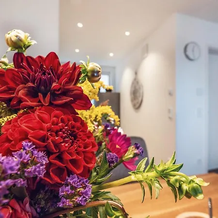 Veilcheneck Appartement