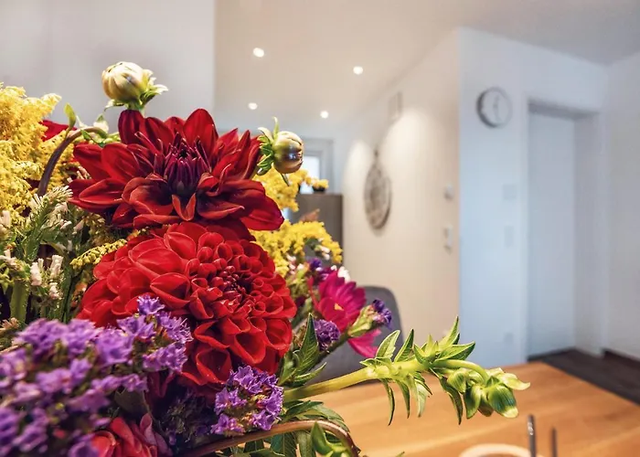 Veilcheneck Apartment